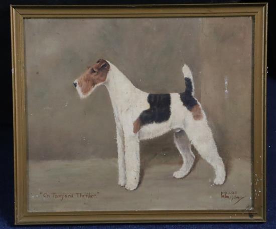 William Lucas Lucas (20th century) Ch. Tanyard Thriller - Wire Haired Fox Terrier 11.5 x 13.5in.